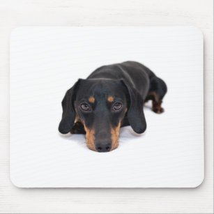 Little Dachshund Mouse Pad