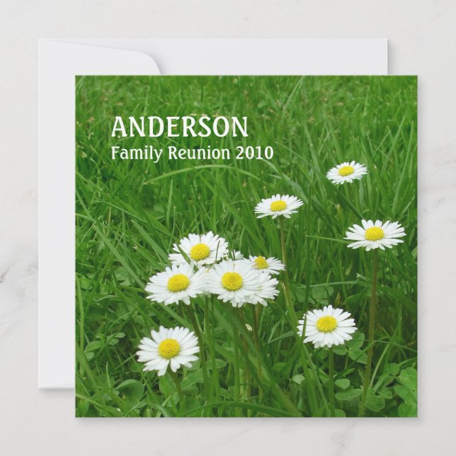 Little Daisies Family Reunion invitation (Front)