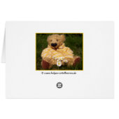 little Daisy Bear Cards (Back Horizontal)