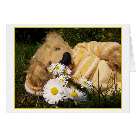 little Daisy Bear Cards (Front Horizontal)