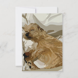 Little Daisy the dog  Thank You Card