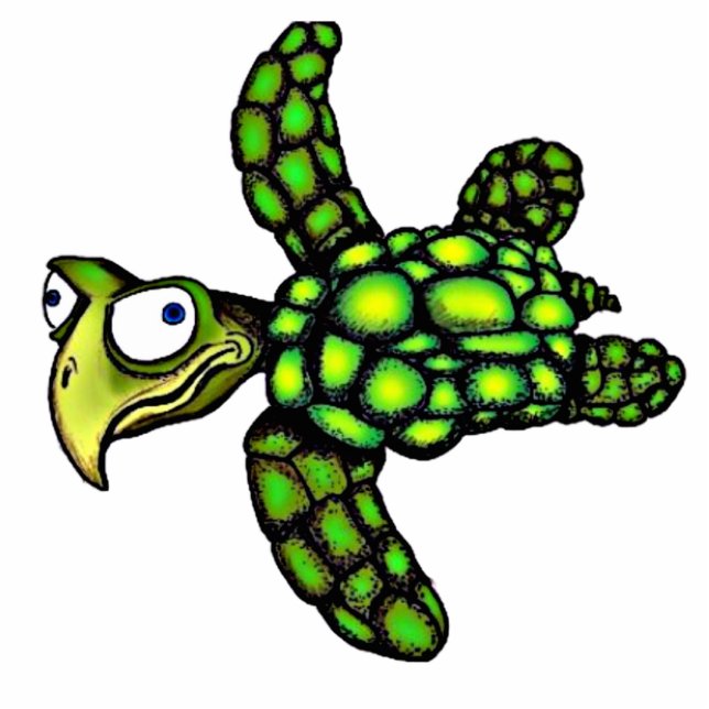 "Little Dave" Turtle, Fish with Attitude Cutout (Front)
