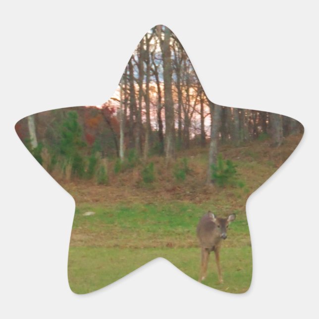 Little Deer &a Pink Sunset Star Sticker (Front)
