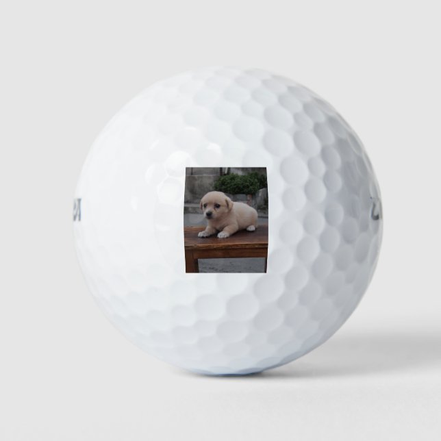 little dog golf balls (Front)