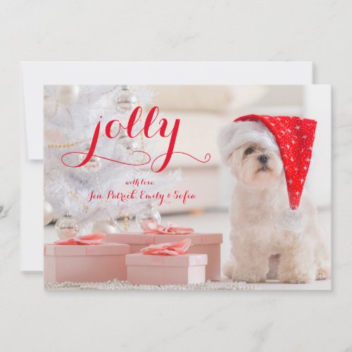 Little Dog Maltese Sitting With Gifts Holiday Card