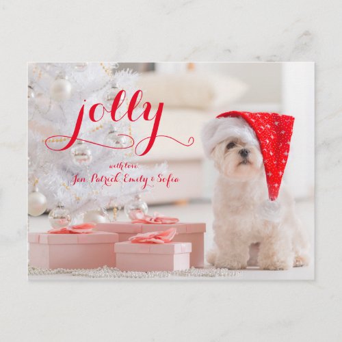 Little Dog Maltese Sitting With Gifts Holiday Postcard