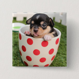 Little doggy in the cup pinback button