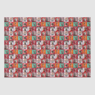 Little Dogs in Sweaters Wrapping Paper Roll