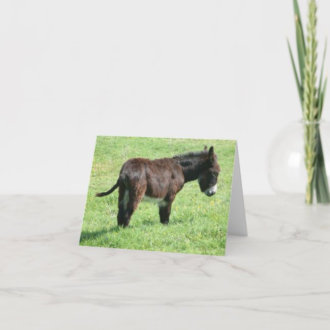 LITTLE DONKEY CARD (Front)