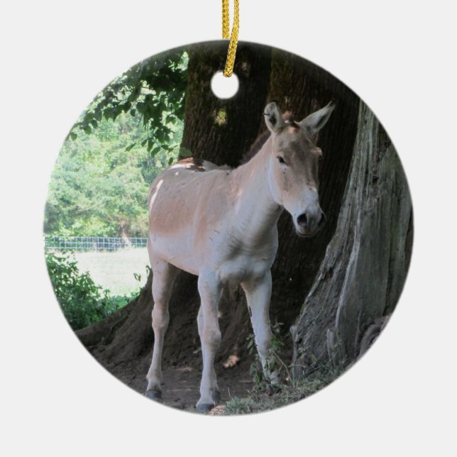 Little Donkey Ceramic Ornament (Front)