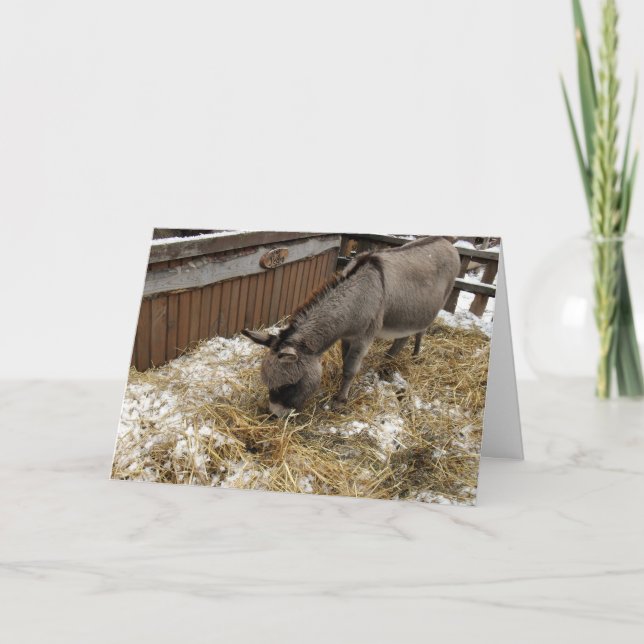 Little Donkey Christmas Holiday Card (Front)