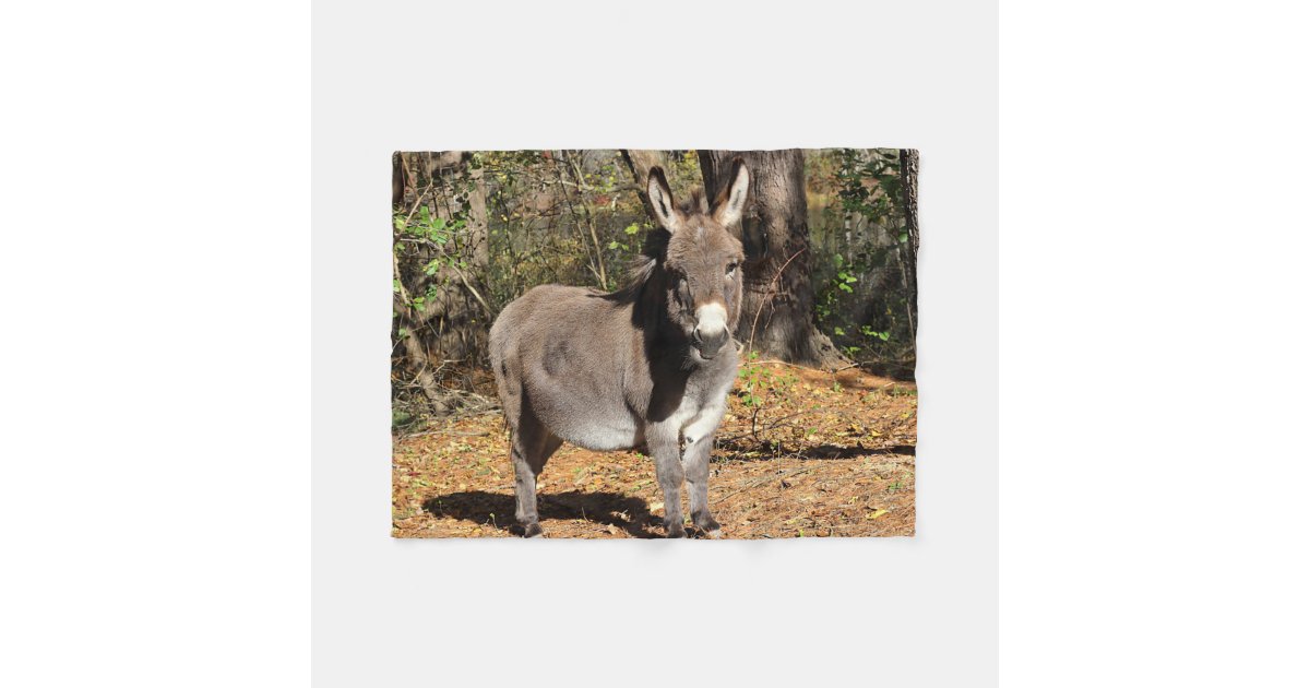 Little Donkey Fleece Blanket | Zazzle