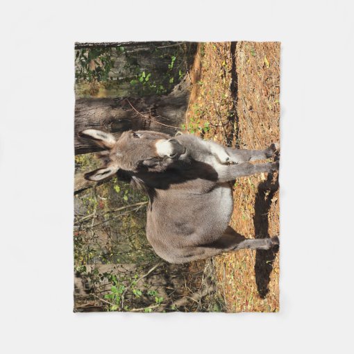 Little Donkey Fleece Blanket Zazzle