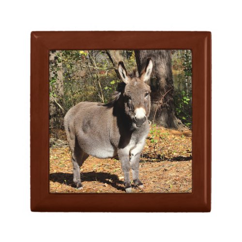 Little Donkey Jewelry Box