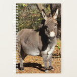 Little Donkey Planner<br><div class="desc">A sweet little miniature donkey standing in the sunshine.</div>