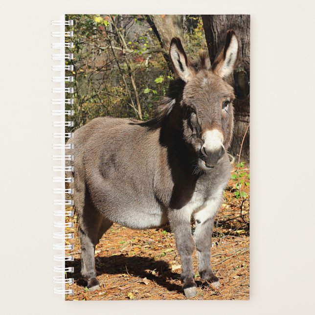 Little Donkey Planner (Front)