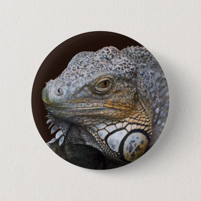 Little Dragon Bag Pinback Button (Front)