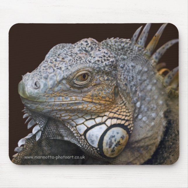 Little Dragon Mousemat Mouse Pad (Front)