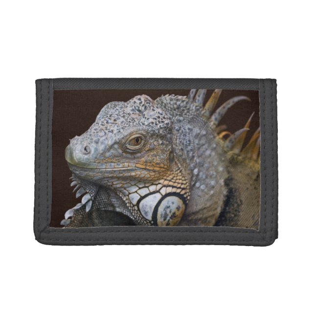 Little Dragon Wallet (Front)