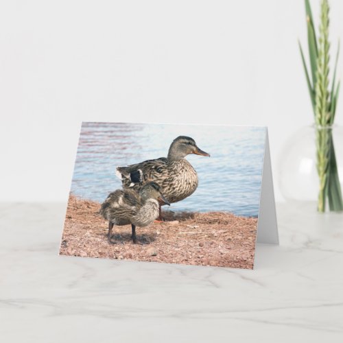 Little Ducklings at the Pond Card