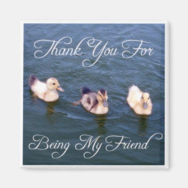 Little Ducklings Magnet (Front)