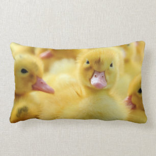 Little Ducks Lumbar Pillow