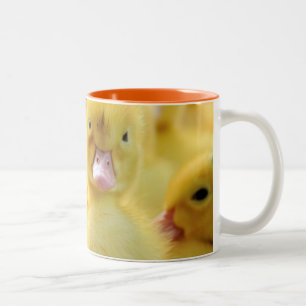 Little Ducks Two-Tone Coffee Mug