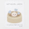 Little Dumpling Chinese Steamer Boy Milestone