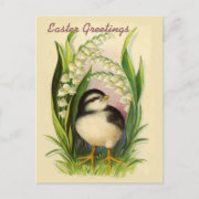 Little Easter Bird Vintage Postcard