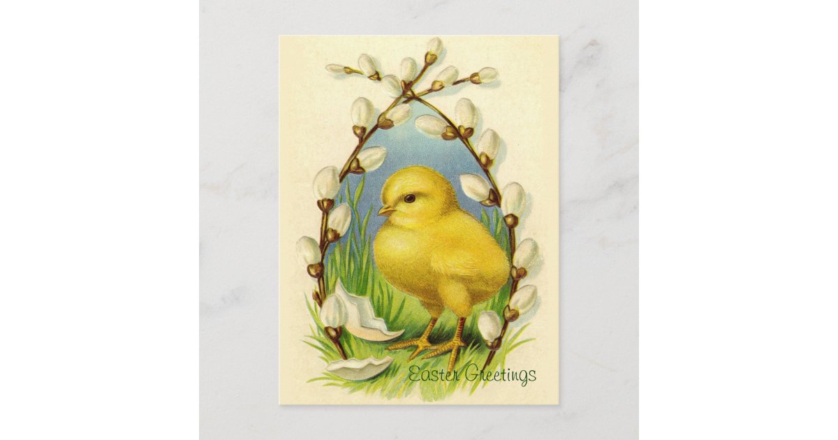Little Easter Chick Vintage Postcard | Zazzle.com