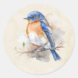Little Eastern Bluebird Watercolor Classic Round Sticker