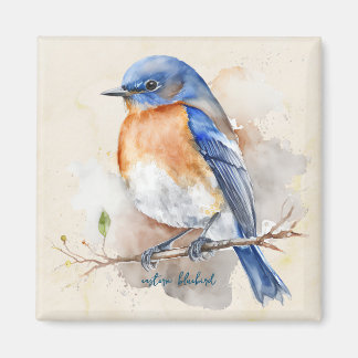 Little Eastern Bluebird Watercolor Magnet