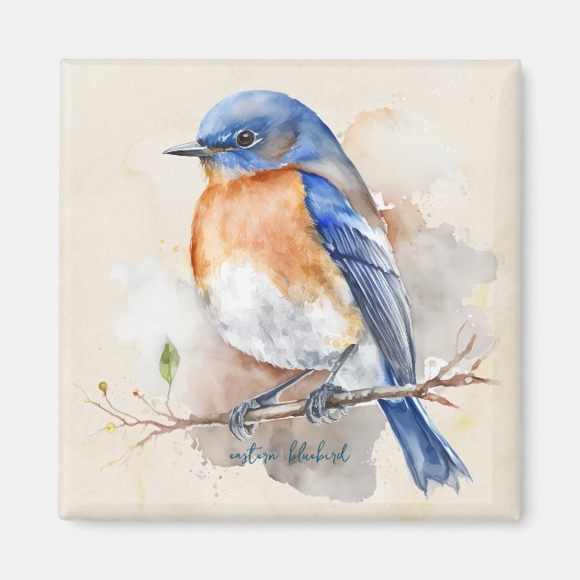 Little Eastern Bluebird Watercolor Magnet (Front)