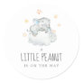 Little Elephant Boy Little Peanut Baby Shower Classic Round Sticker