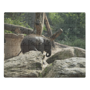 Little Elephant Jigsaw Puzzle