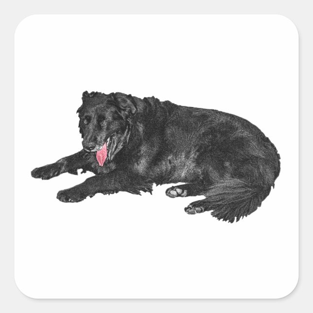 Little Ember, Loyal Black Dog Square Sticker (Front)