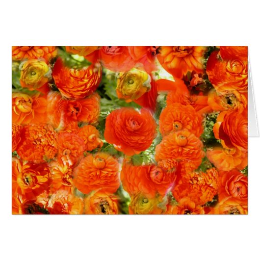 Little faces (Front Horizontal)