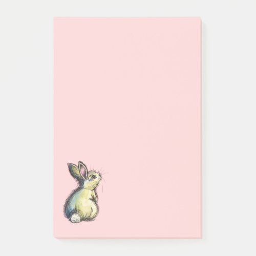 Little Fat Bunny Notes