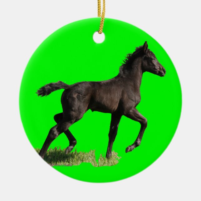 Little Filly Horse Baby's First Christmas Ornament (Front)