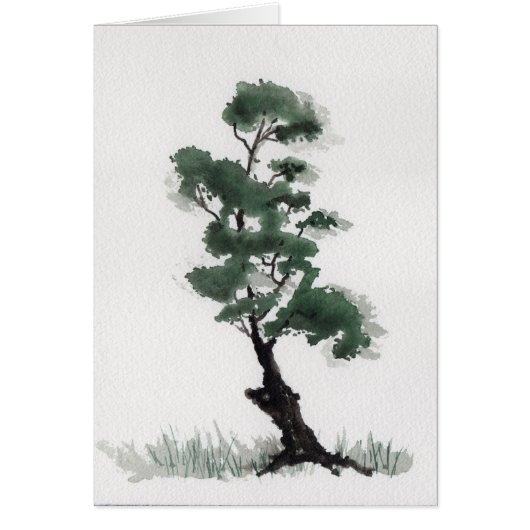 Little Fir Tree Cards (Front)