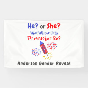 Little Firecracker Gender Reveal Banner