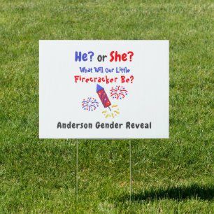 Little Firecracker Gender Reveal Sign