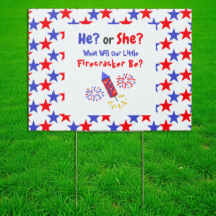 Little Firecracker Gender Reveal Sign