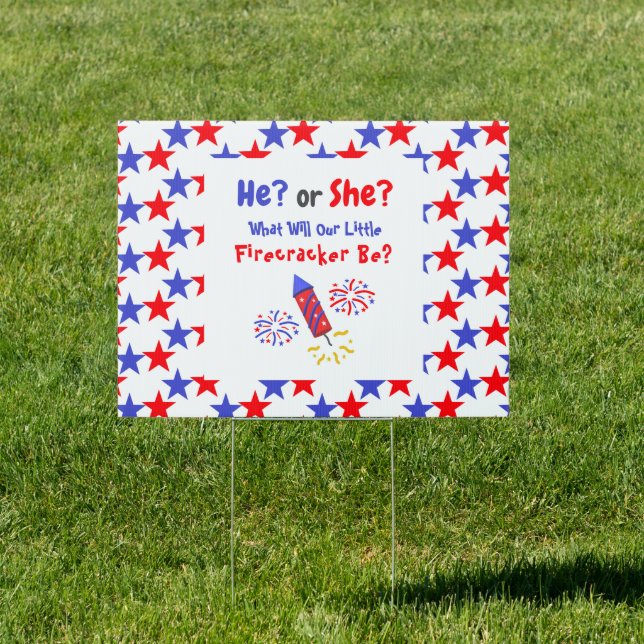 Little Firecracker Gender Reveal Sign (Insitu)