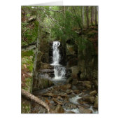 Little Flume Card (Front)