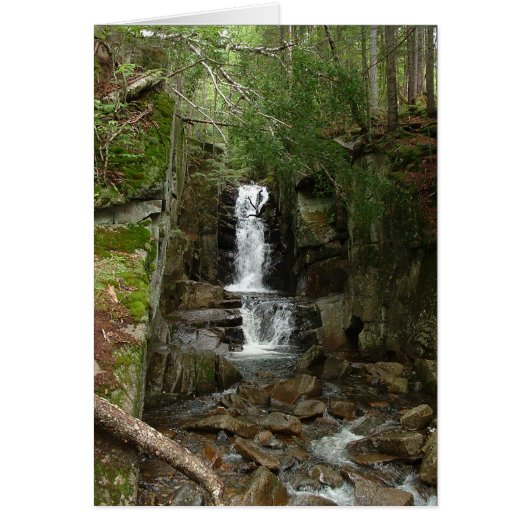 Little Flume Card (Front)