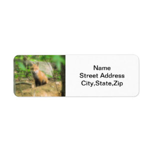 Little fox return address label