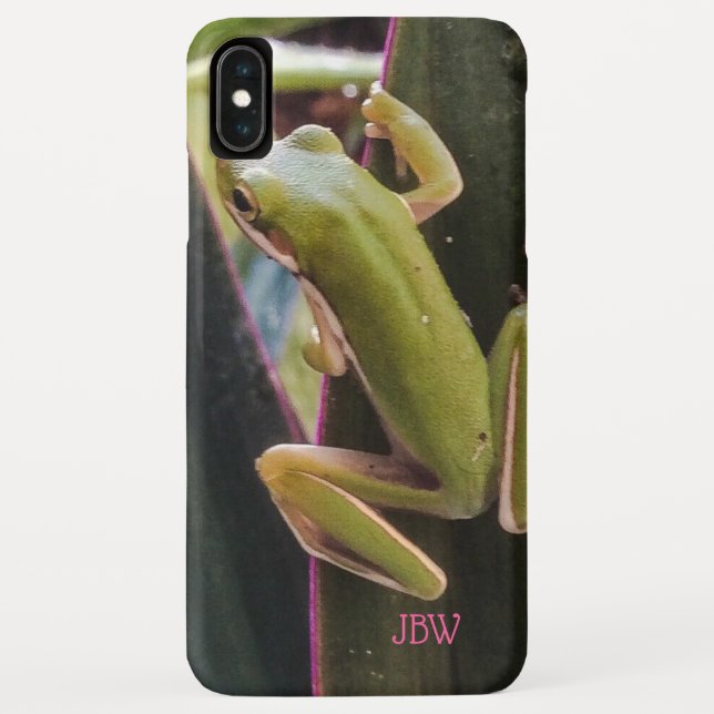 Little Frog in the Garden Case-Mate iPhone Case (Back)