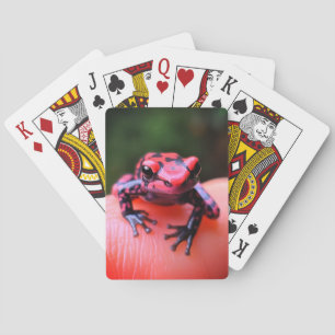 Little Frog Poker Cards