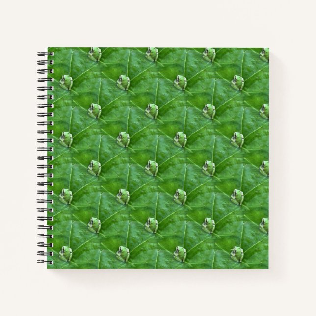 Little frogs... notebook (Front)